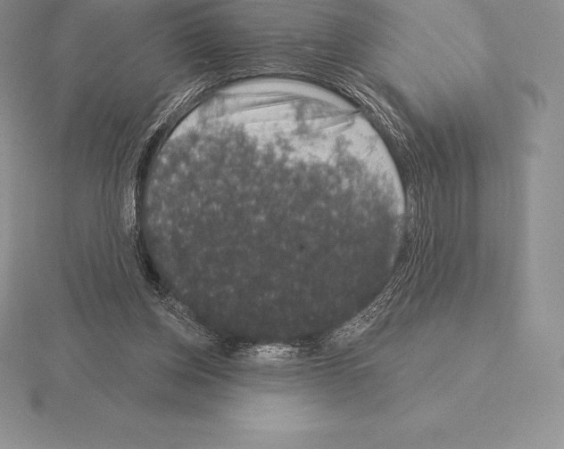 X0000115160158200912081415