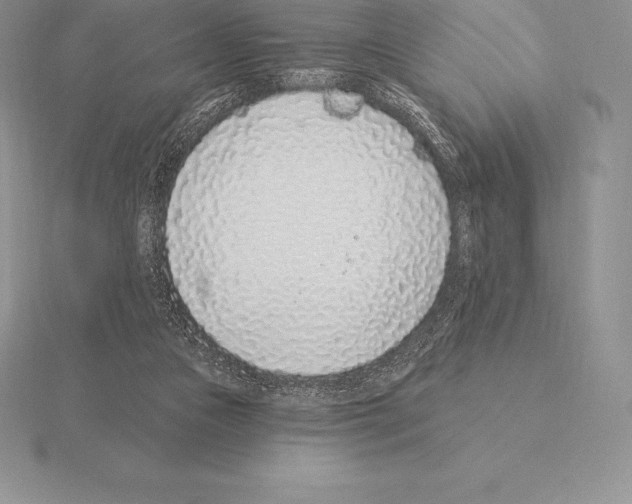 X0000115160161200912081415