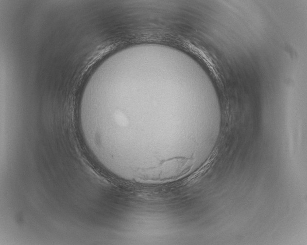 X0000115160162200912081415