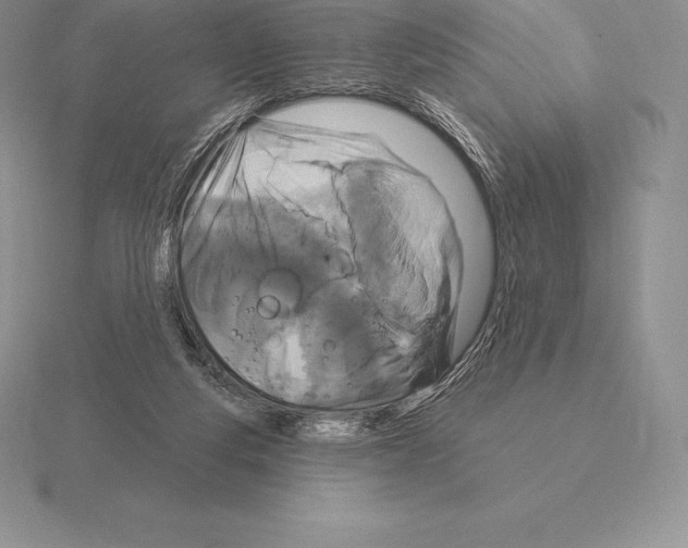 X0000115160163200912081415