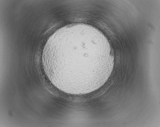 X0000115160165200912081415