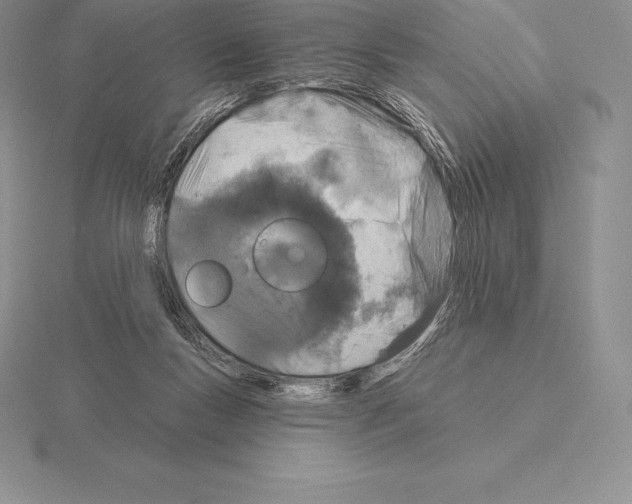 X0000115160167200912081415