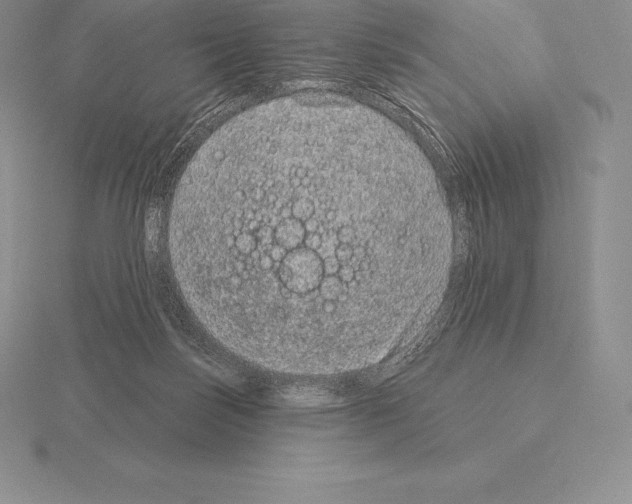 X0000115160171200912081415