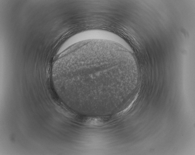 X0000115160174200912081415