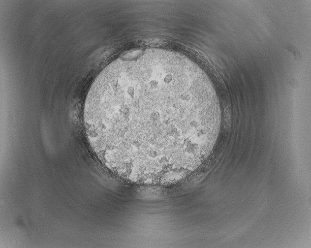 X0000115160181200912081415