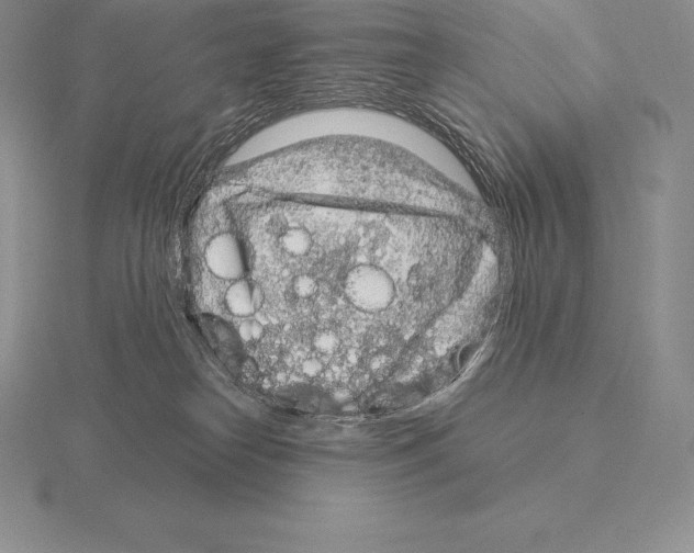 X0000115160182200912081415