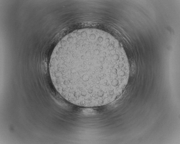 X0000115160183200912081415