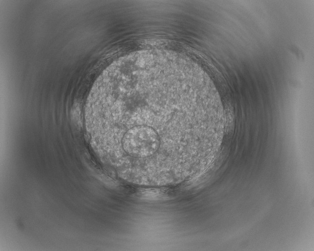 X0000115160187200912081416