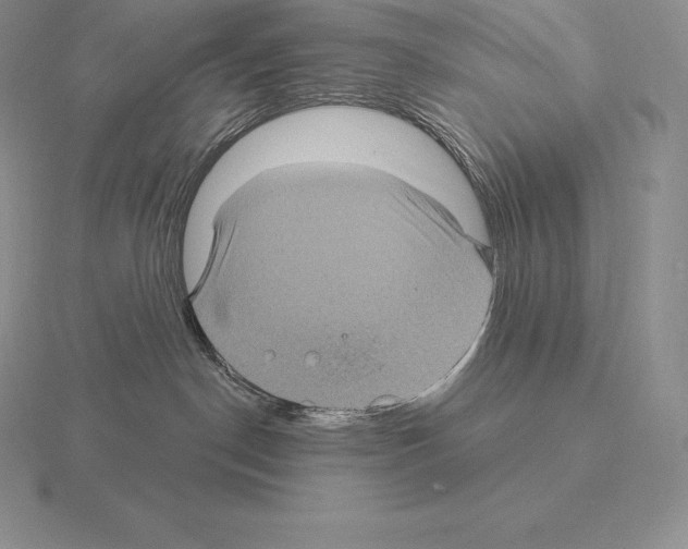 X0000115160190200912081416