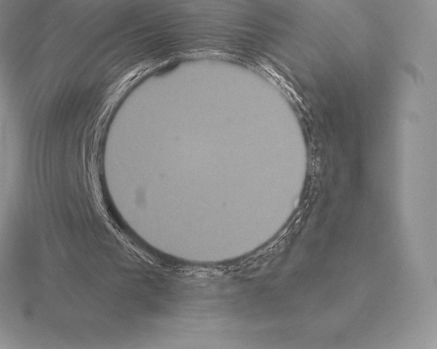 X0000115160193200912081415