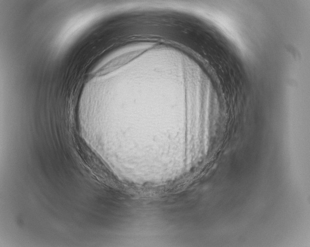 X0000115160194200912081415