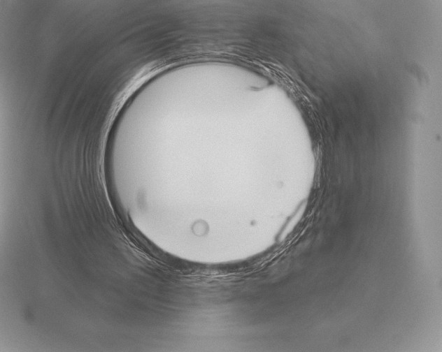 X0000115160195200912081415