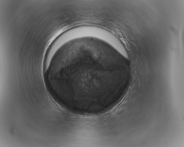 X0000115160196200912081415