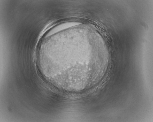 X0000115160198200912081415