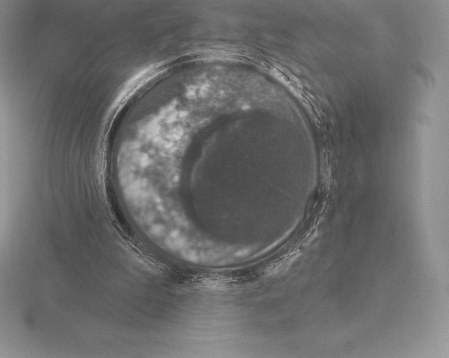 X0000115160199200912081415