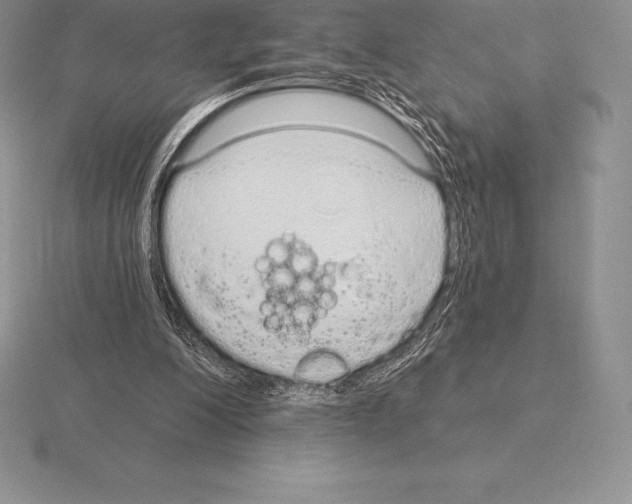 X0000115160200200912081415