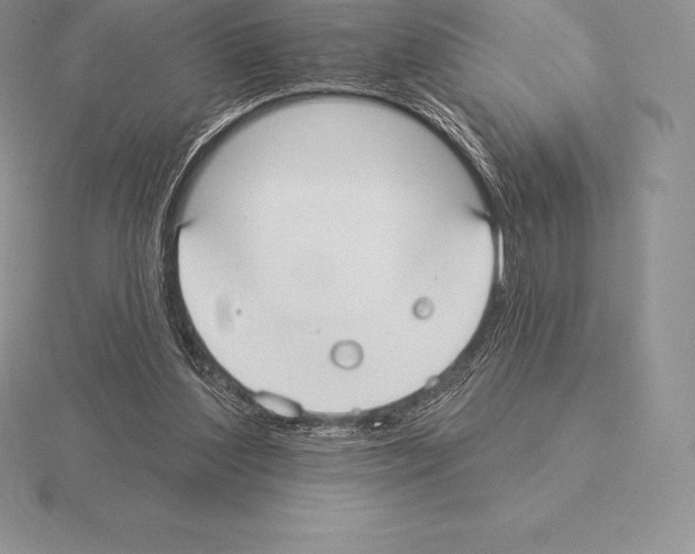 X0000115160204200912081415