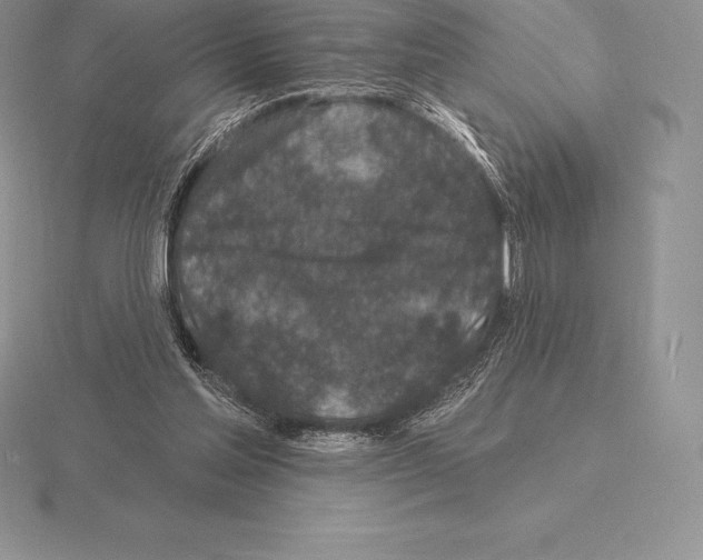 X0000115160205200912081415