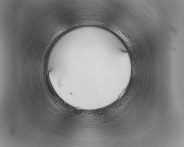 X0000115160207200912081415