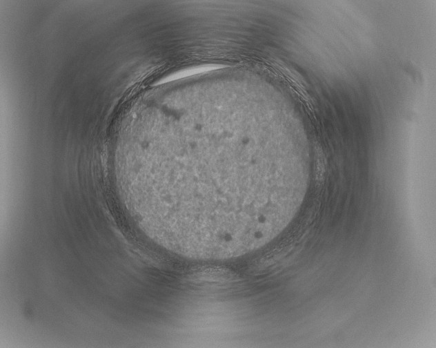 X0000115160210200912081415