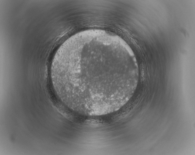 X0000115160211200912081415