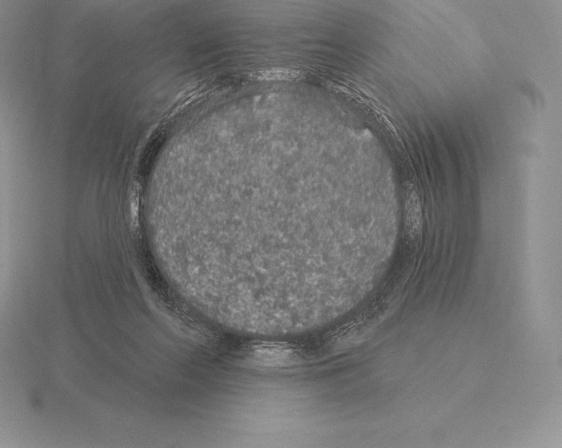 X0000115160214200912081415