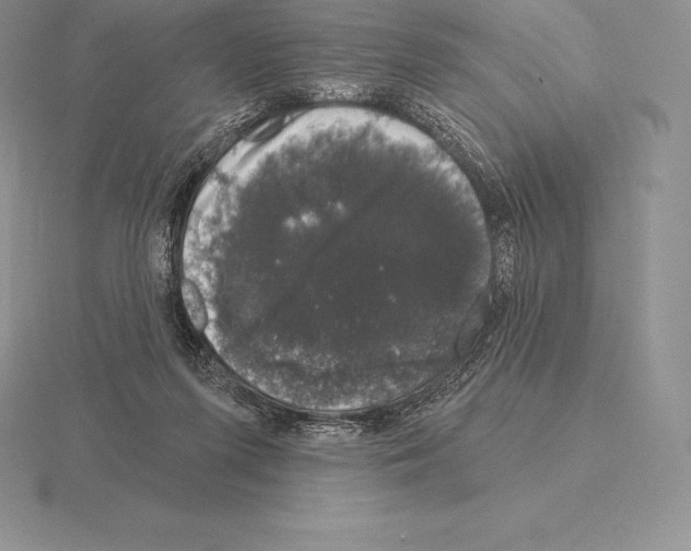 X0000115160215200912081415