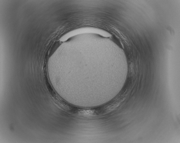 X0000115160217200912081415