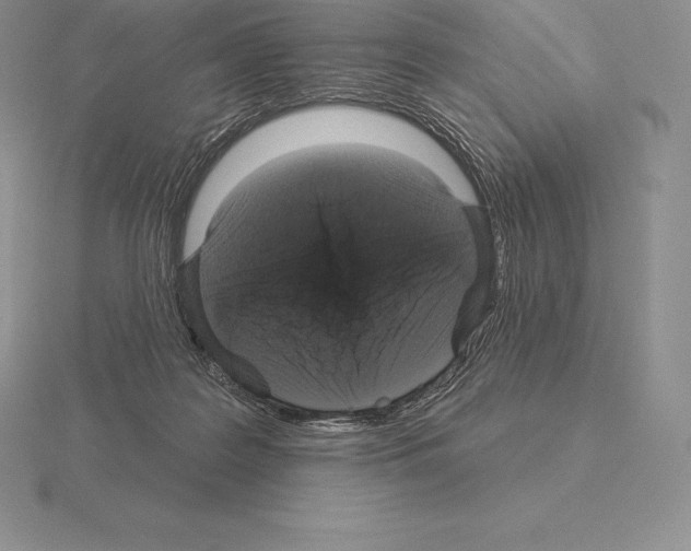 X0000115160219200912081415