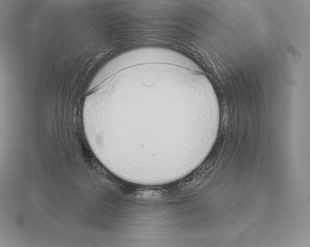 X0000115160220200912081415