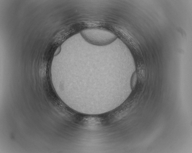 X0000115160221200912081415