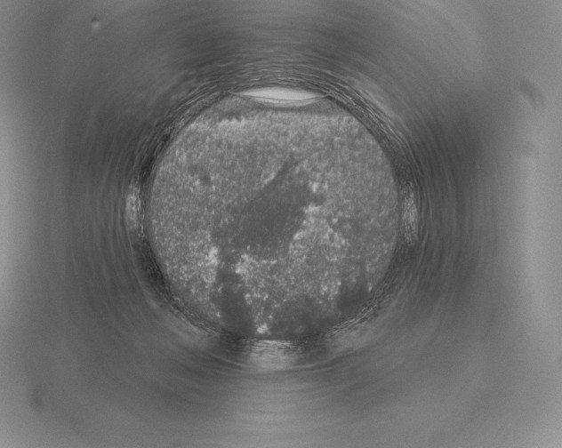 X0000115160222200912081415