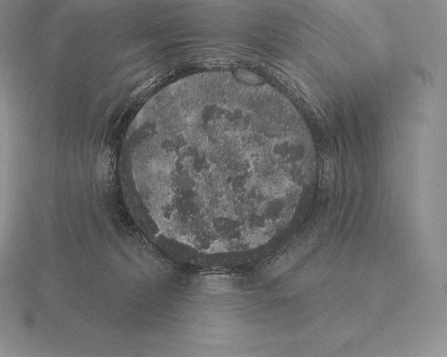 X0000115160228200912081415