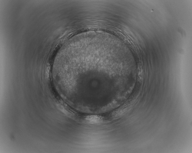 X0000115160231200912081414