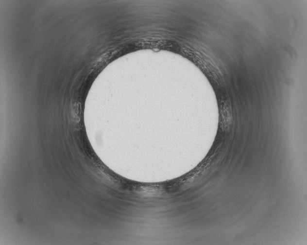 X0000115160232200912081414