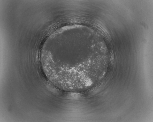 X0000115160233200912081414