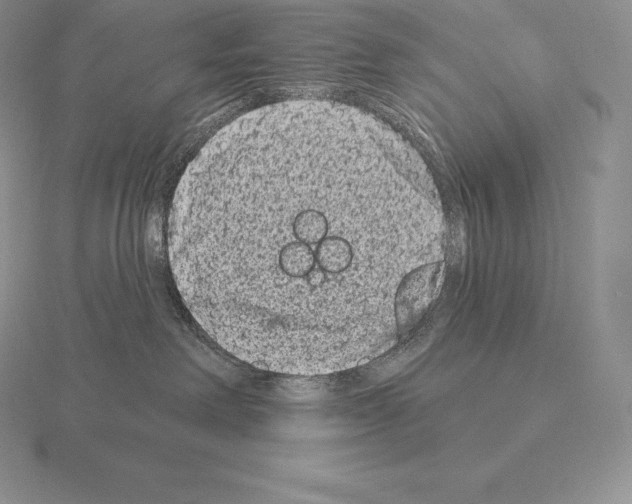 X0000115160238200912081414