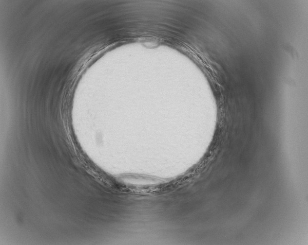 X0000115160241200912081414