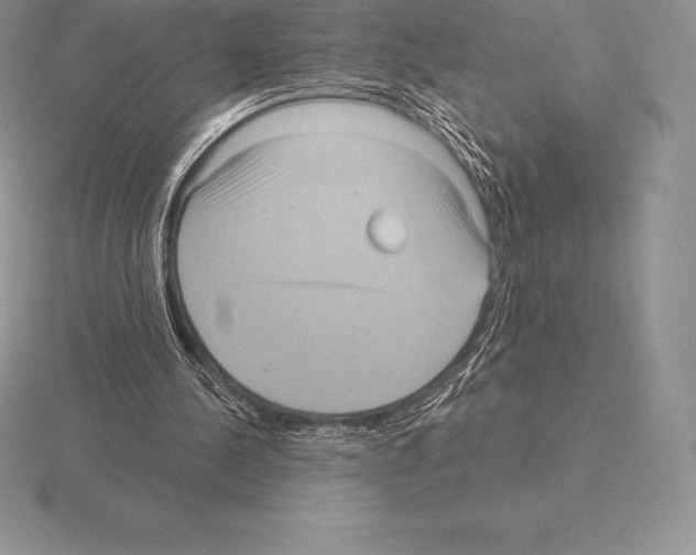 X0000115160244200912081414