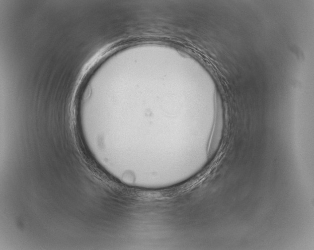 X0000115160246200912081414