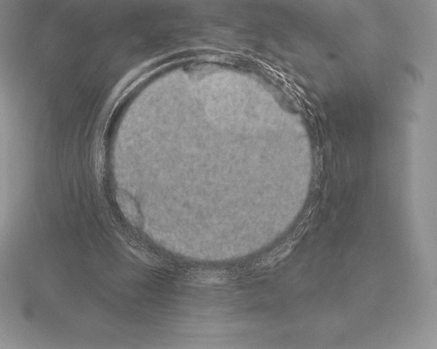 X0000115160247200912081414