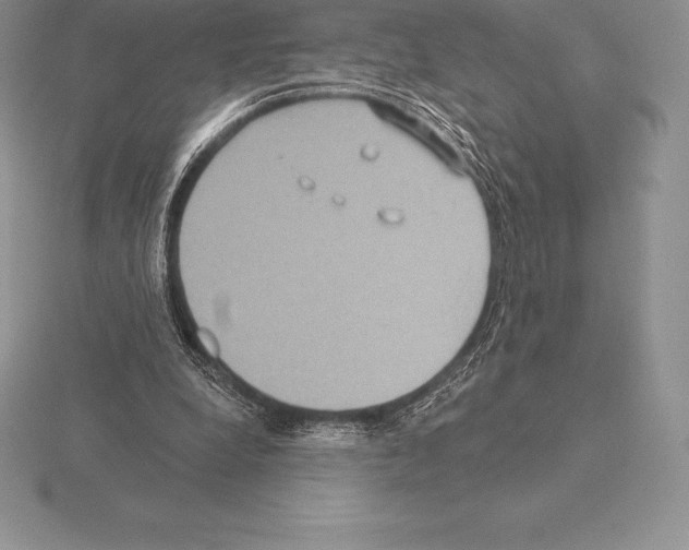 X0000115160248200912081414