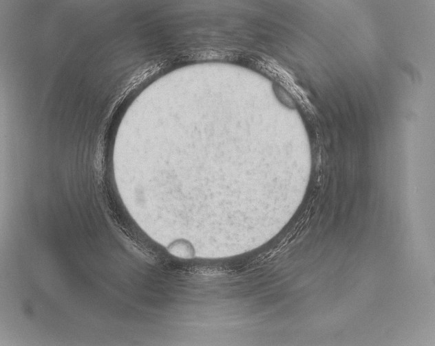 X0000115160250200912081414