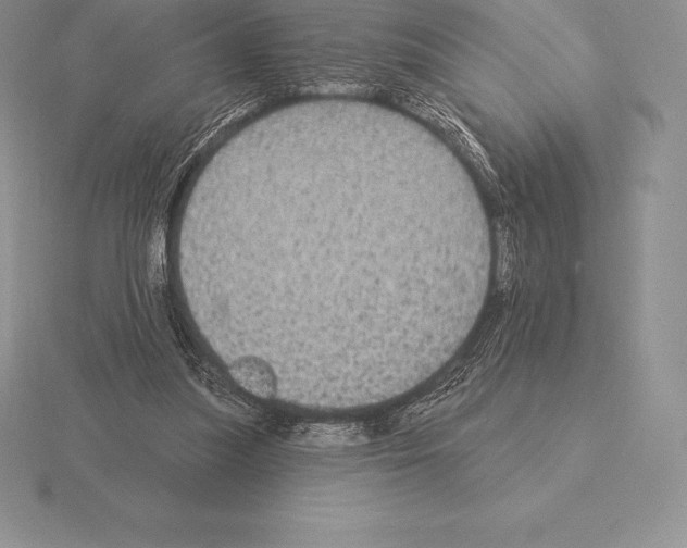 X0000115160251200912081414