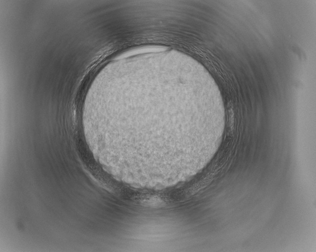 X0000115160254200912081414