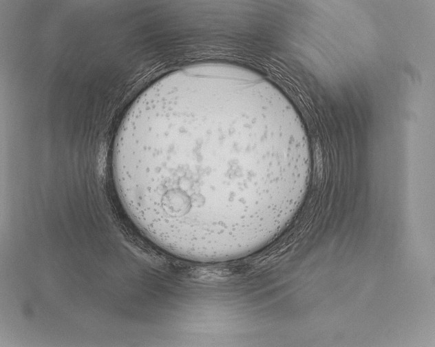 X0000115160255200912081414