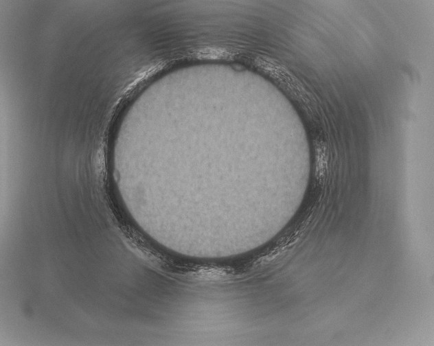 X0000115160256200912081414