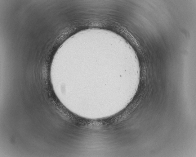 X0000115160257200912081414