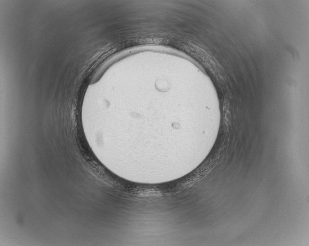 X0000115160258200912081414