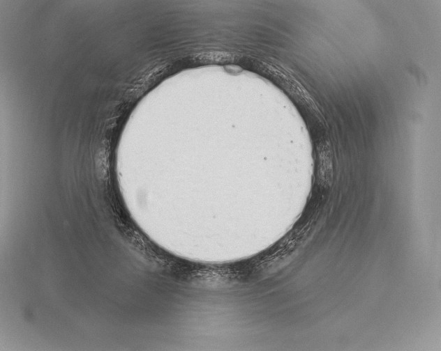 X0000115160259200912081414